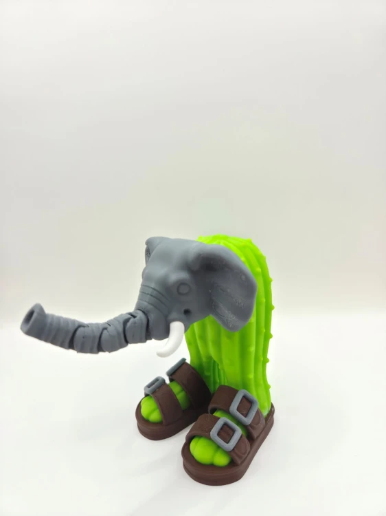 20251208_202052.jpg
